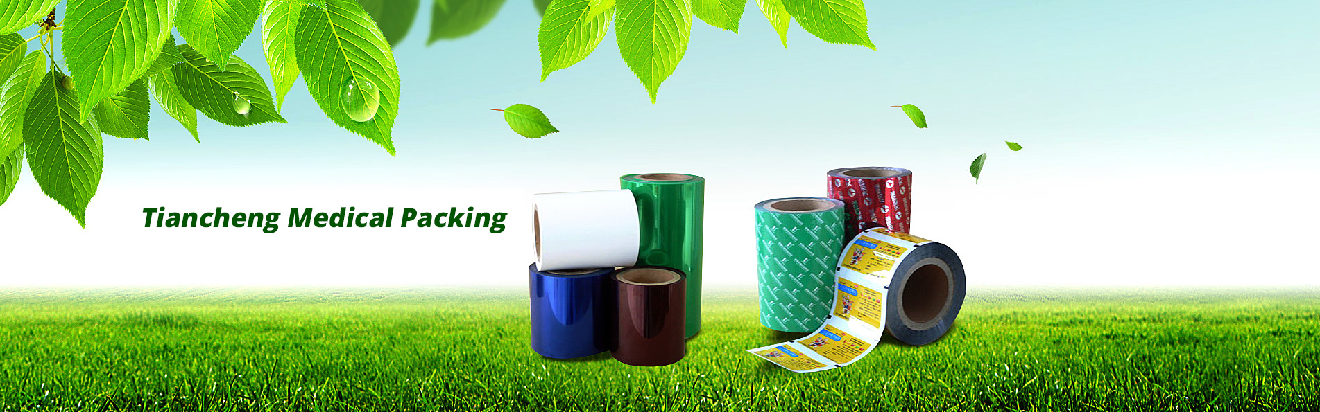 Zhejiang Tiancheng Pharmaceutical Packaging Co., Ltd Zhejiang Tiancheng Pharmaceutical Packaging Co., Ltd